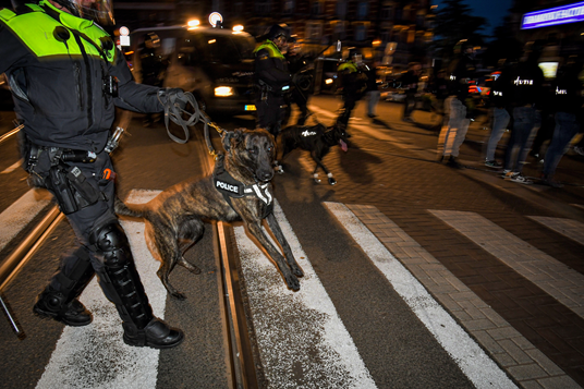 Agent met politiehond bij inzet rellen.